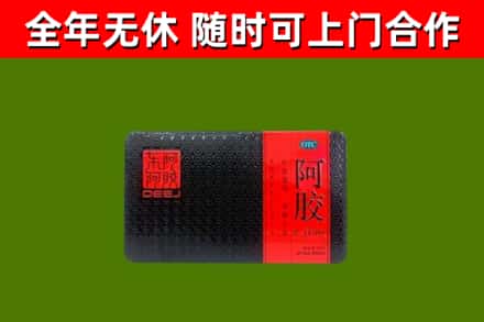 海原县回收阿胶